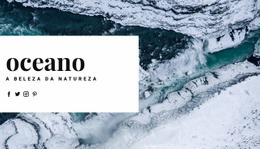 Viagem Nórdica Oceânica Design Do Site