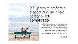 Página Web De Relación Perro Y Dueño