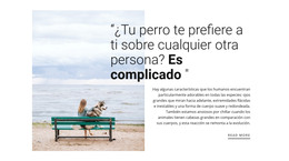 Relación Perro Y Dueño: Sitio Web Adaptable