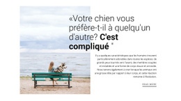 Conception De Sites Web Relation Chien Et Propriétaire Pour N'Importe Quel Appareil