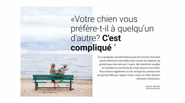 relation chien et propriétaire Modèles de constructeur de sites Web