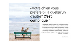 Thème WordPress Gratuit Pour Relation Chien Et Propriétaire