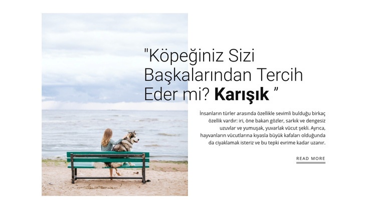 köpek ve mal sahibi ilişkisi Açılış sayfası