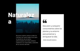 Vista Del Paisaje De La Naturaleza Diseño De Sitios Web