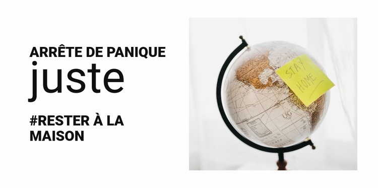 Temps de pandémie Maquette de site Web