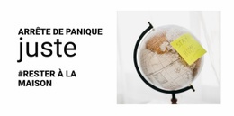 Temps De Pandémie - Modèle De Site