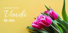 Descontos De Primavera Modelo CSS