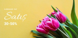 Bahar Indirimleri - Harika WordPress Teması