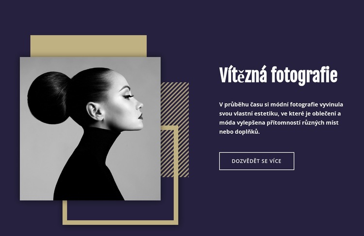 Vítězná módní fotografie Webový design