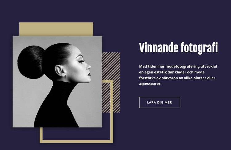 Vinnande modefotografi CSS -mall