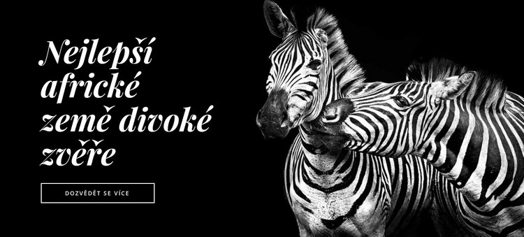 Fauna Afriky Šablona webové stránky