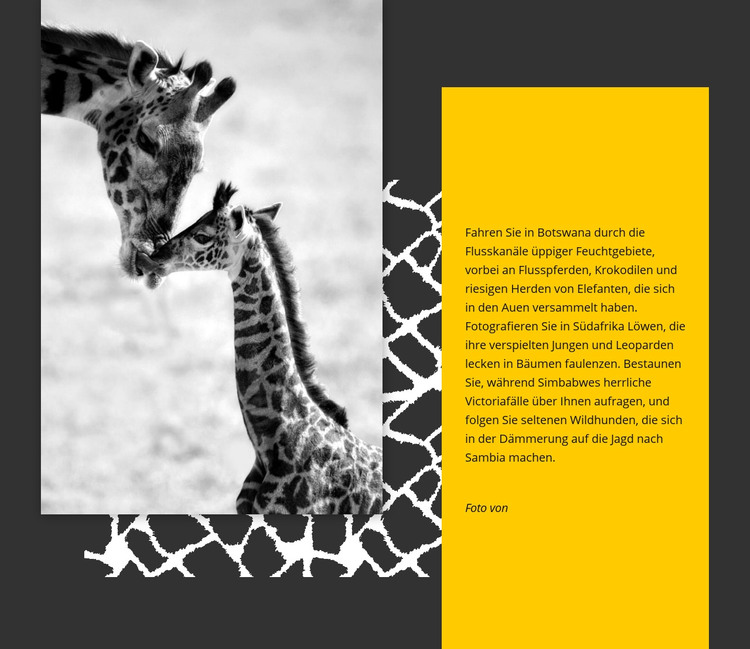 Südafrika Tiere HTML-Vorlage
