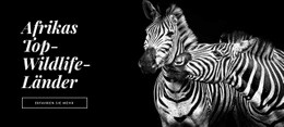 Die Fauna Afrikas - HTML Builder