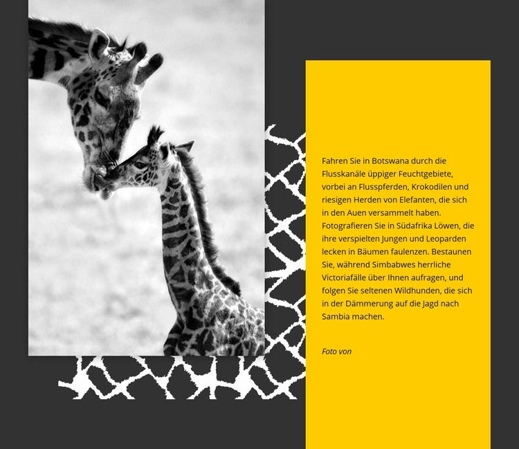 Südafrika Tiere Website-Modell