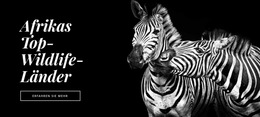 Die Fauna Afrikas – Fertiges Website-Design