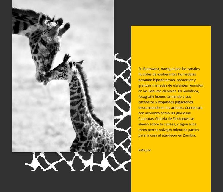 Animales de Sudáfrica Maqueta de sitio web