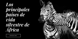 La Fauna De África - Plantillas De Sitios Web