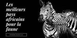 La Faune De L'Afrique - Thème De Site Web Prêt
