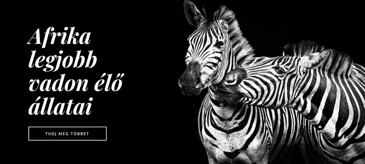 Afrika állatvilága HTML Sablon