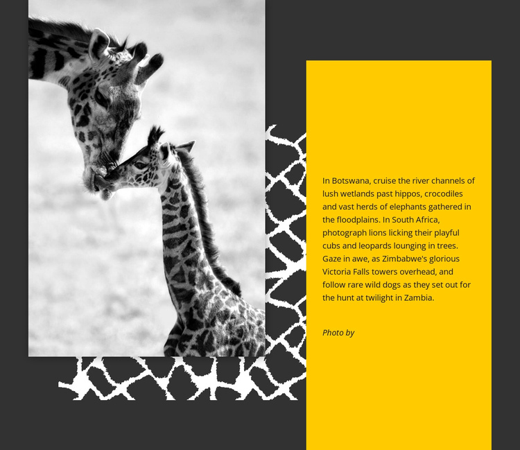 South African giraffe One Page Template
