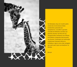 Animais Da África Do Sul - Website Creation HTML