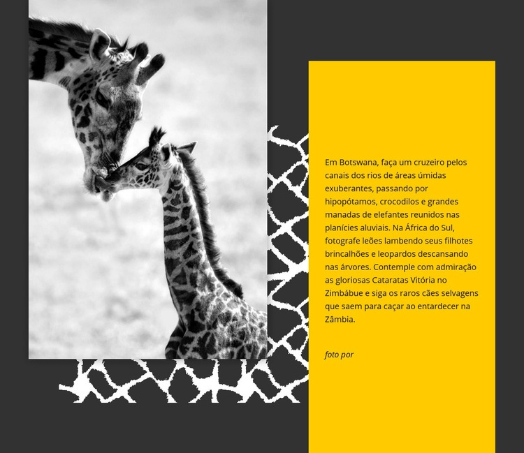 Animais da África do Sul Design do site