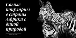 Фауна Африки – Потрясающий Макет Веб-Сайта