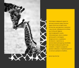 Один Шаблон Страницы Для Животные Южной Африки