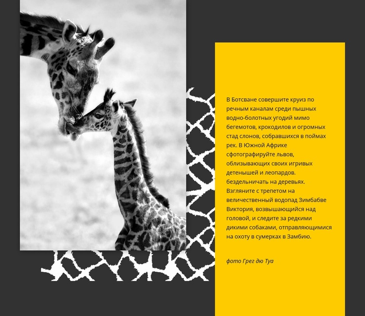 Животные Южной Африки WordPress тема