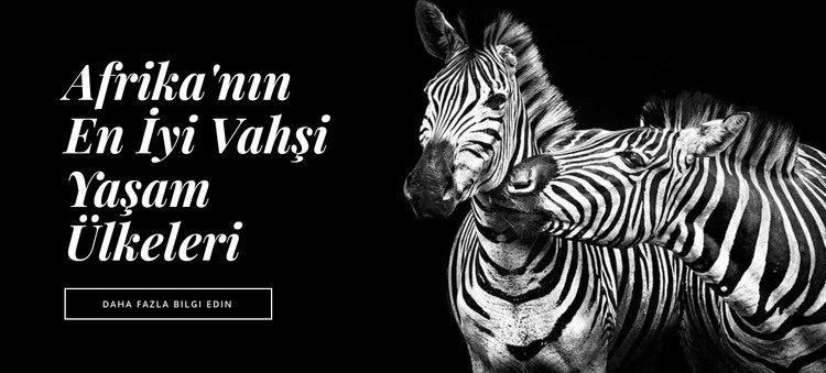 Afrika Faunası HTML Şablonu