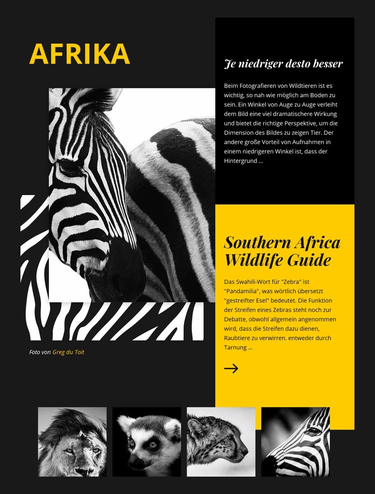 Africa Wildlife Guide Website design