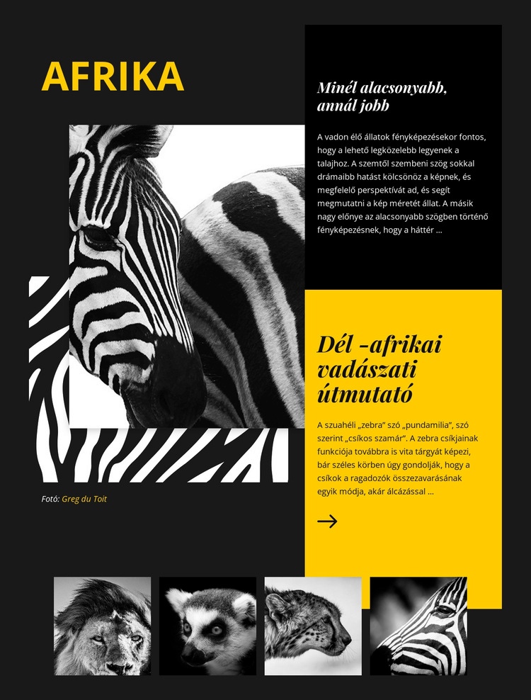 Afrika vadon élő állatok útmutatója Weboldal tervezés