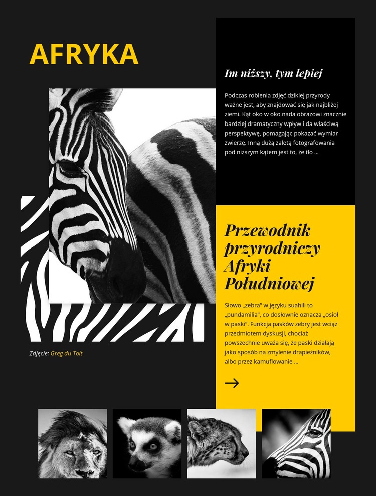 Africa Wildlife Guide Kreator witryn internetowych HTML