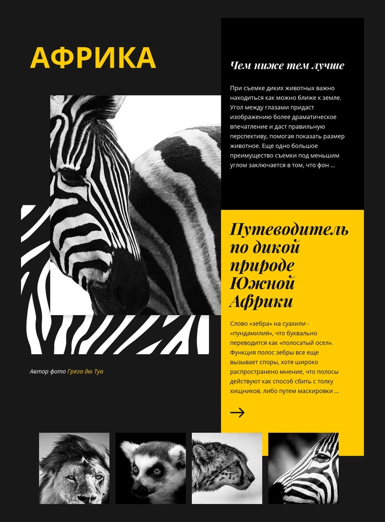 Путеводитель по дикой природе Африки Дизайн сайта