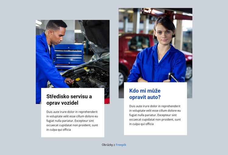 Skvělí automechanici Webový design