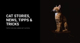 Katzengeschichten Und Neuigkeiten Website-Vorlagen