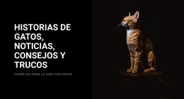 Historias Y Noticias De Gatos - Hermoso Diseño De Sitio Web