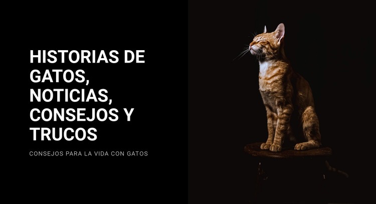 Historias y noticias de gatos Maqueta de sitio web