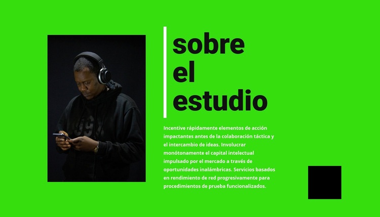 Información del estudio de música Plantilla CSS