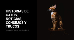 Historias Y Noticias De Gatos - Página De Destino
