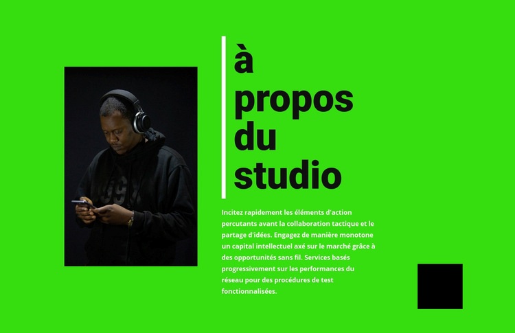 Informations sur le studio de musique Conception de site Web