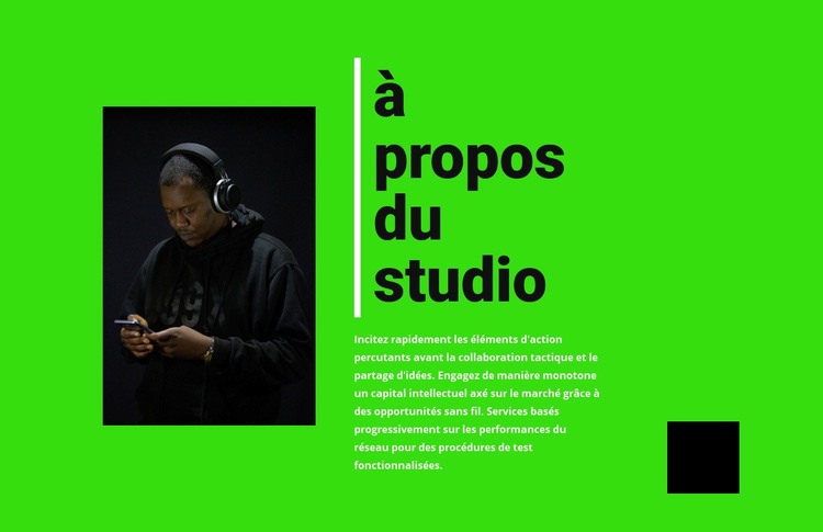 Informations sur le studio de musique Maquette de site Web