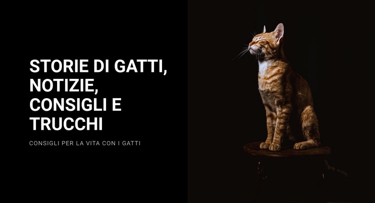 Storie e notizie sui gatti Modelli di Website Builder