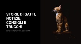 Storie E Notizie Sui Gatti - Bellissimo Design Del Sito Web