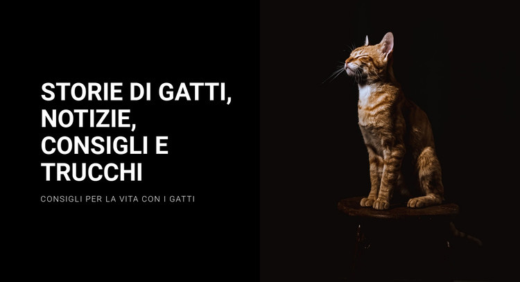 Storie e notizie sui gatti Modello HTML