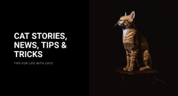 Cat Stories And News One Page Template