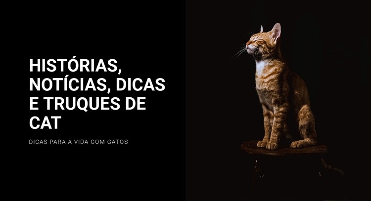 Histórias e notícias de gatos Construtor de sites HTML