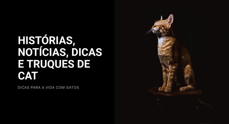 Histórias e notícias de gatos Template CSS