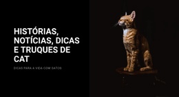 Histórias E Notícias De Gatos - Modelo HTML5 De Funcionalidade