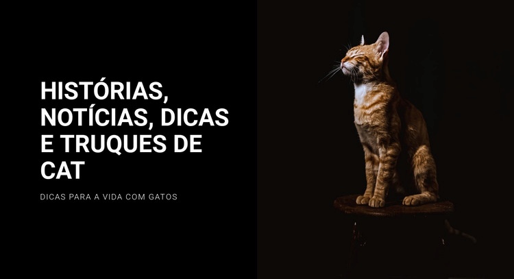 Histórias e notícias de gatos Landing Page